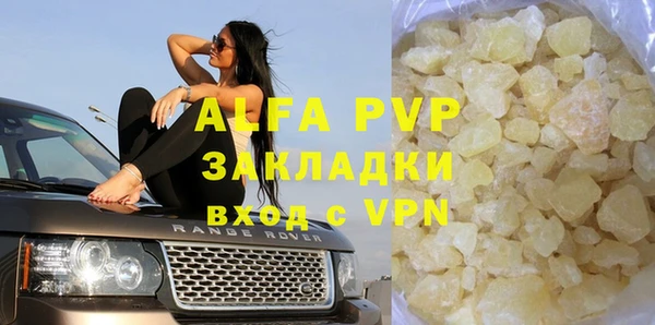 стаф Надым